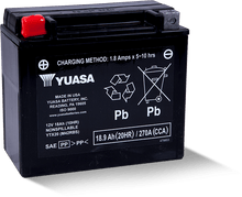 Load image into Gallery viewer, Yuasa YTX20 Maintenance Free AGM 12-Volt Battery