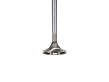Load image into Gallery viewer, Manley Ford 4.6L DOHC (4 Valve) Triple Groove 30mm Race Master Exhaust Valves - GTR Auto