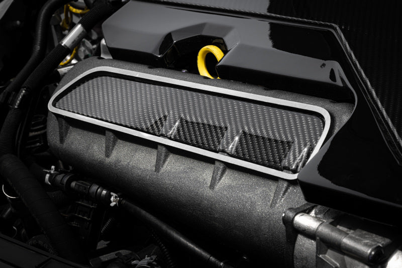 APR 17-26 Audi RS3/12-22 Audi TT RS Quattro 2.5T Carbon Fiber Intake Manifold Cover Plate MS100251