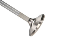 Load image into Gallery viewer, Manley Small Block Chevy LS-1 / LS-2 (LS-6 Head) 1.600 Head Diameter Race Flo Exhaust Valves - GTR Auto