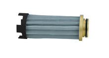 Load image into Gallery viewer, Peterson Fluid Systems Element 60 Micron