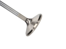 Load image into Gallery viewer, Manley Ford 4.6L 38.5mm Race Master &amp; Extreme Duty Exhaust Valves *Set of 8* - GTR Auto