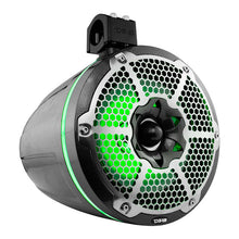 Load image into Gallery viewer, DS18 Marine And Psports Towers With 10in 1in Driver 300 Watts RMS RGB LED Lights Black Carbon Fiber