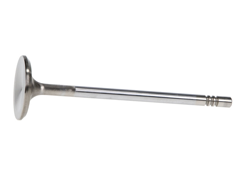 Manley Ford 4.6L 34mm Diameter 117.35mm Length Race Master Exhaust Valves (Set of 8) - GTR Auto