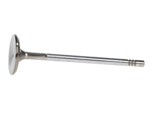 Load image into Gallery viewer, Manley Ford 4.6L 34mm Diameter 117.35mm Length Race Master Exhaust Valves (Set of 8) - GTR Auto