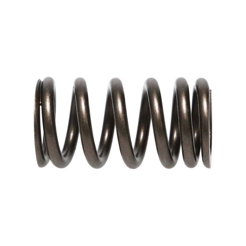 Manley Mitsubishi 4B11T 16pc Valve Springs - GTR Auto