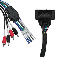 Load image into Gallery viewer, DS18 Plug and Play Harness For OEM Ride Command For 4-CH RCA Audio Signal and Remote Turn-on