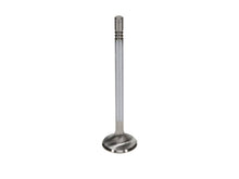 Load image into Gallery viewer, Manley Ford GT350 Voodoo 5.2L Race Master Series Intake Valve - 1.508in Dia