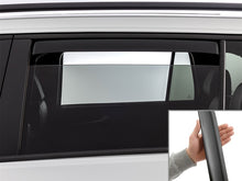 Load image into Gallery viewer, Photo - Primary