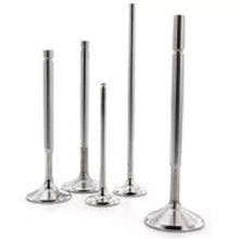 Load image into Gallery viewer, Ferrea 05-08 Harley-Davidson Twin Cam 1.890in Head Dia Competition Intake Valve-Set of 4