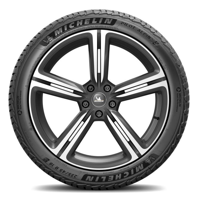 Michelin Pilot Alpin 5 295/35R19 104V XL 02296