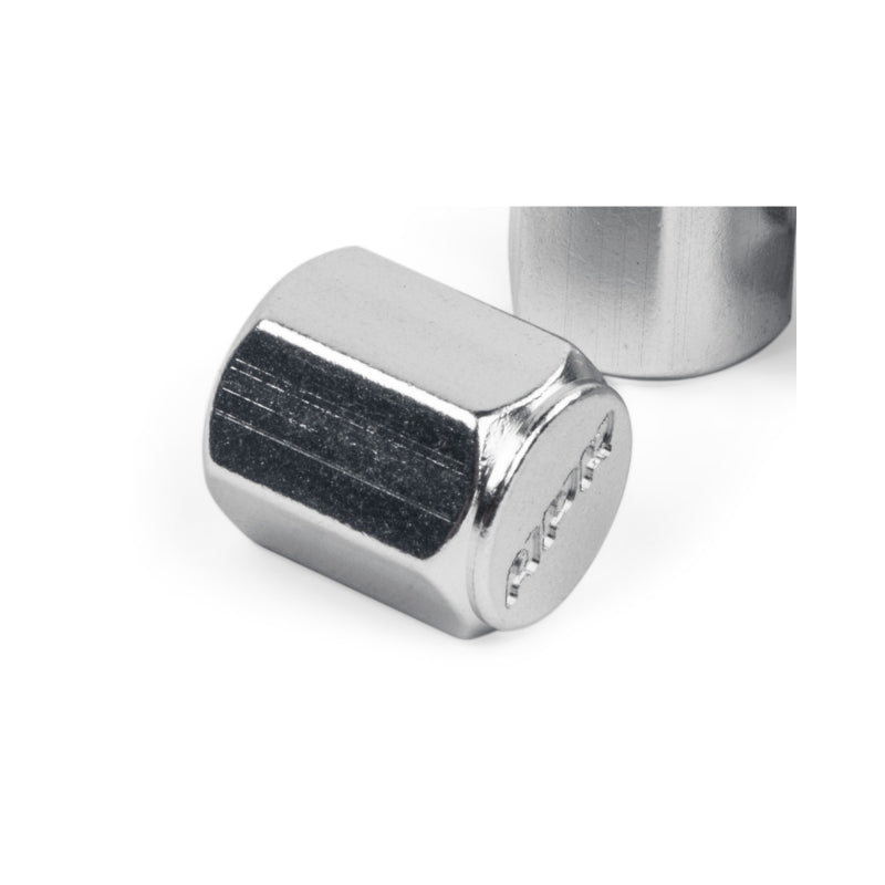 APR Valve Stem Caps - Silver (Set of 4) MS100178