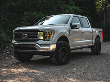 Load image into Gallery viewer, Tuff Country 21-23 Ford F-150 4x4 Uni Ball Upper Control Arms