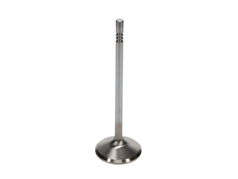 Manley Ford 4.6L 37.5mm Diameter 117.35mm Length Race Master Exhaust Valves (Set of 8) - GTR Auto