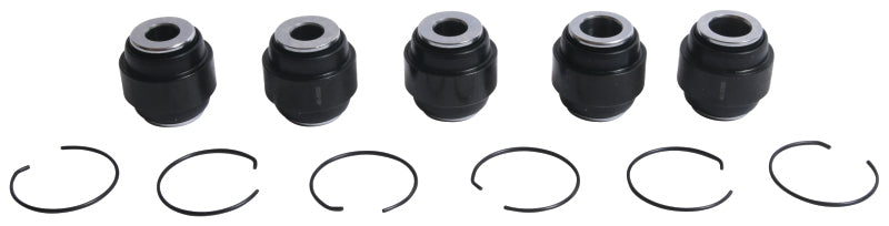 All Balls Racing Rear Ind. Suspension Kit 50-1248