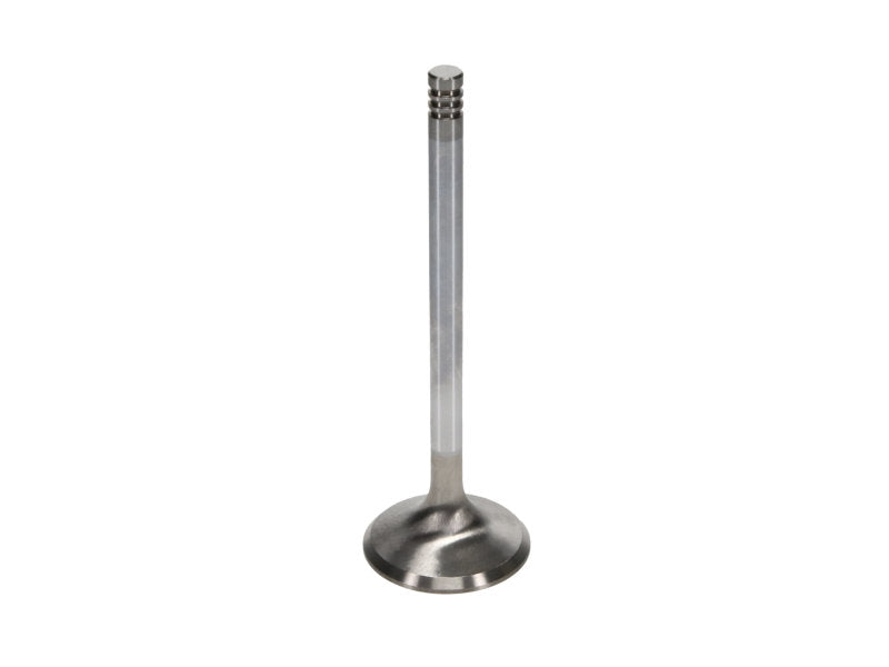 Manley Chrysler Hemi 6.1L w/ Triple Groove 1.625in Race Master Exhaust Valves (Set of 8) - GTR Auto