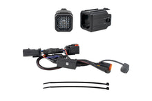 Load image into Gallery viewer, Diode Dynamics HitchMount LED Pod 10-Pin Reverse Kit C1R