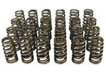 Load image into Gallery viewer, Comp Cams Beehive Springs, Harley 1.445In