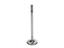 Load image into Gallery viewer, Manley Ford 4.6L DOHC (4 Valve) Triple Groove 37mm Race Master Intake Valves - GTR Auto