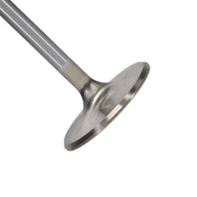 Load image into Gallery viewer, Manley 99-12 Ford V8 4.6L/281 5.4/330 45.5mm Race Series Stainless Steel Intake Valves (Set of 8) - GTR Auto
