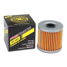 Load image into Gallery viewer, ProFilter Kawasaki Cartridge Various Performance Oil Filter - Single