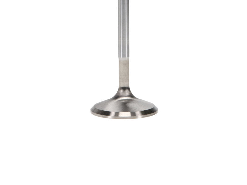 Manley Ford 2.3L EcoBoost Exhaust 30mm Stainless Extreme Duty Valves - GTR Auto
