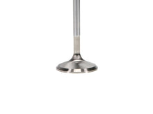 Load image into Gallery viewer, Manley Ford 2.3L EcoBoost Exhaust 33mm Stainless Race Master Valves - GTR Auto