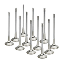 Load image into Gallery viewer, Supertech BMW N54 Turbo Sodium Filled Exhaust Valves - Set of 12