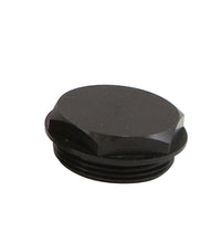Load image into Gallery viewer, Peterson Fluid Systems Fitting Plug R4
