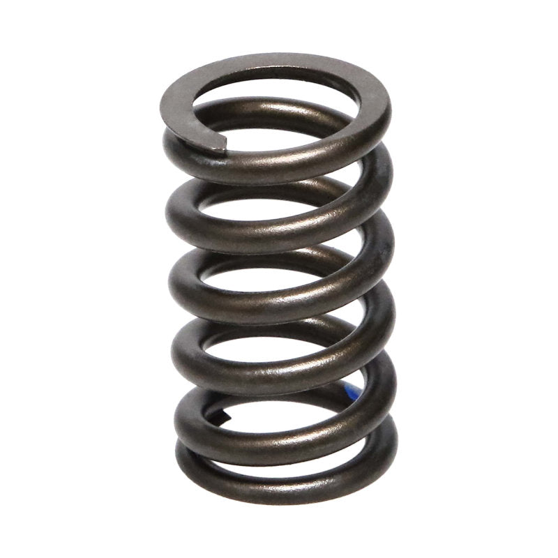 Manley Honda (K20A3 K24A) 16pc Valve Springs - GTR Auto