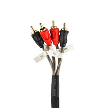 Load image into Gallery viewer, DS18 Plug and Play Harness For Harley-Davidson For DS18 Amp Connection w/ Factory Radio