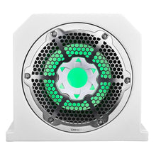 Load image into Gallery viewer, DS18 Subwoofer &amp; Enclosure Dual 10in 350 Watts RMS 4 ohm NXL-10SUB/WH Included White