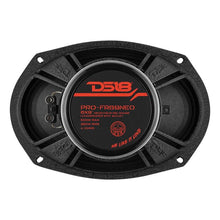 Load image into Gallery viewer, DS18 6x9in 250 Watts RMS 4 ohm Neodymium Full Range Loudspeaker