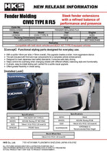 Load image into Gallery viewer, HKS Fender Molding FL5 53004-AH005
