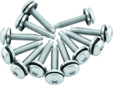 Load image into Gallery viewer, Twin Power 04-17 Dyna Models Fuel Pump Plate Screw Kit Replaces H-D 1331