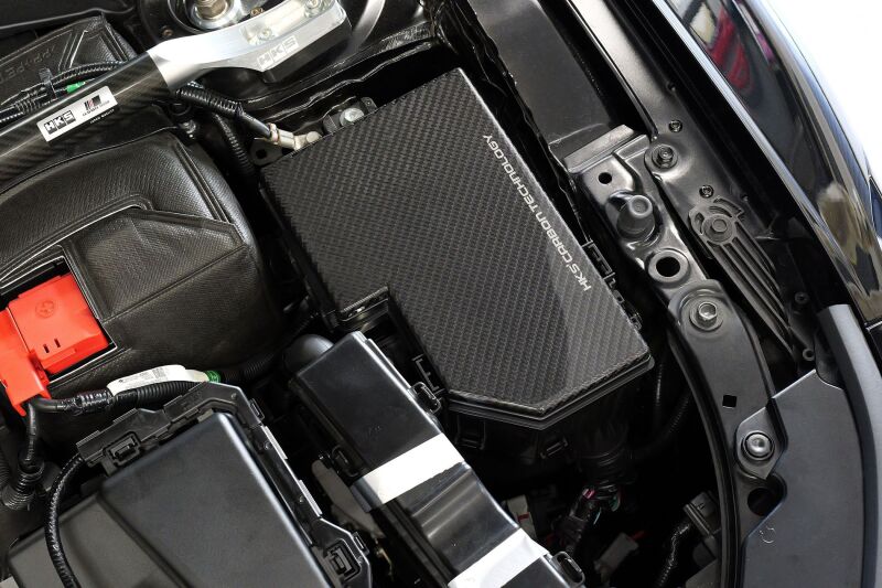 HKS DRY CARBON FUSE BOX COVER FL5 70026-AH014