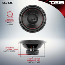 Load image into Gallery viewer, DS18 12in Select Subwoofer 250 Watts RMS 4 ohm SVC