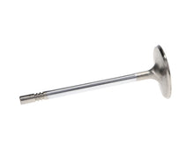 Load image into Gallery viewer, Manley 99-12 Ford V8 4.6L/281 5.4/330 45.5mm Race Series Stainless Steel Intake Valves (Set of 8) - GTR Auto