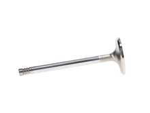 Load image into Gallery viewer, Manley Volkswagen 1.7L 40mm Dia 4.606in Length Race Series Exhaust Valve Kit