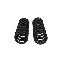 Load image into Gallery viewer, ARB / OME Front Coil Springs