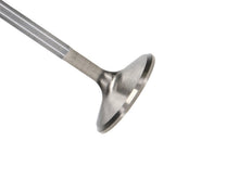 Load image into Gallery viewer, Manley 92-00 Acura Integra / 99-00 Honda Civic 16 Valve 33.0mm Race Flo F/F Intake Valves (Set of 8) - GTR Auto