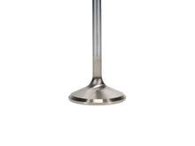 Load image into Gallery viewer, Manley Ford 4.6L 37.5mm Diameter 117.35mm Length Race Master Exhaust Valves (Set of 8) - GTR Auto