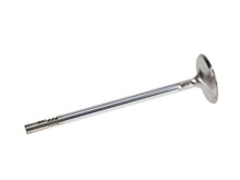Load image into Gallery viewer, Manley Ford 4.6L DOHC (4 Valve) Triple Groove 37mm Race Master Intake Valves - GTR Auto