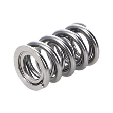 Load image into Gallery viewer, Manley Valve Spring, SPRING-1443 POLISHED