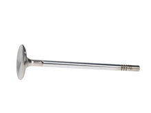 Load image into Gallery viewer, Manley Ford 4.6L DOHC (4 Valve) Triple Groove 37mm Race Master Intake Valves - GTR Auto