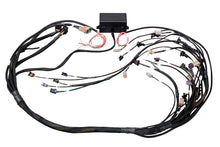 Load image into Gallery viewer, Haltech GM GEN IV (LS2/LS3) DBW Ready Elite 2500 Terminated Harness w/EV6 Injector Connectors