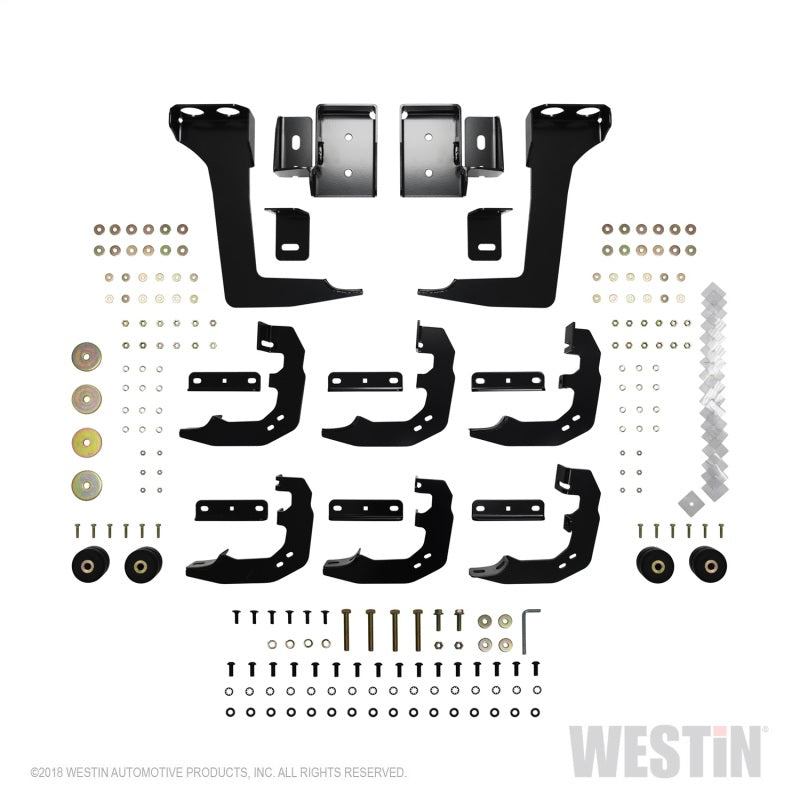 Westin 2019 Ram 1500 Crew Cab PRO TRAXX 5 W2W Oval Nerf Step Bars - Stainless Steel - GTR Auto