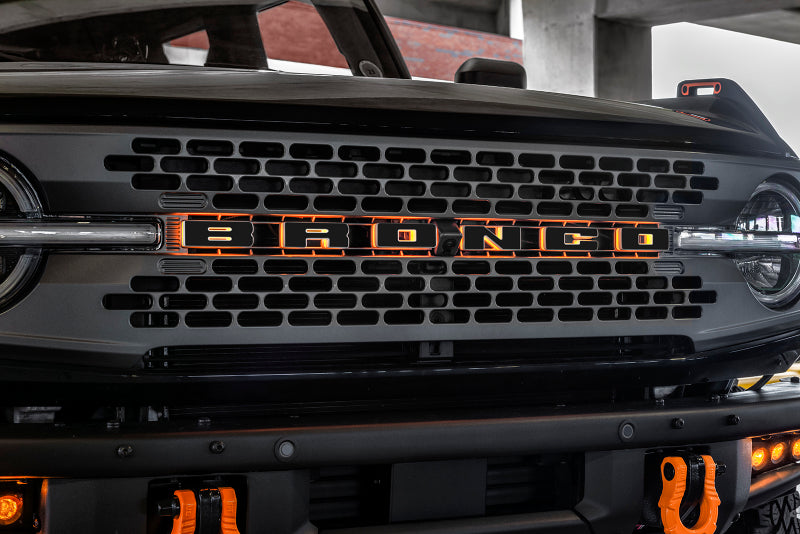 ORACLE Lighting Universal Illuminated LED Letter Badges - Matte Blk Surface Finish - D