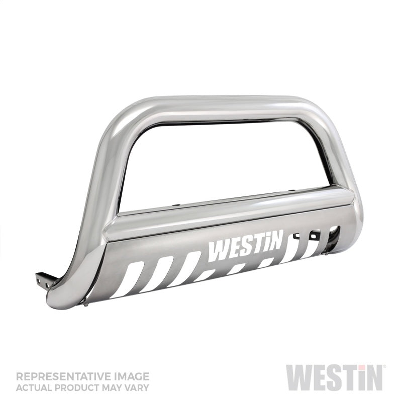 Westin 2017-2018 Ford F-250/350 E-Series Bull Bar - SS - GTR Auto