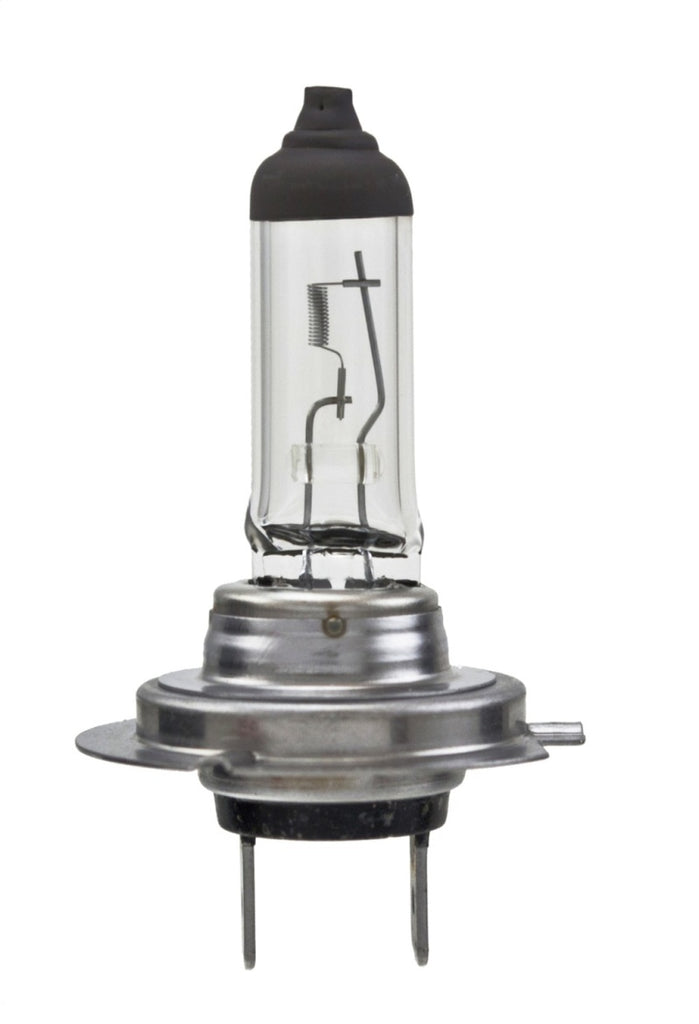Hella Bulb H7 12V 55W PX26d T4.6 LONGLIFE - GTR Auto